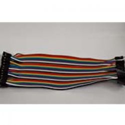 Dây nối đực cái