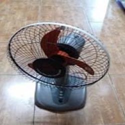 Quạt chạy acquy hoặc Năng lượng mặt trời